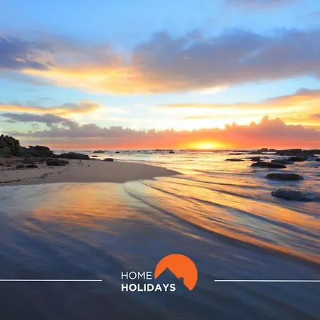 #144 Cavalo Preto C104 By Holidays *