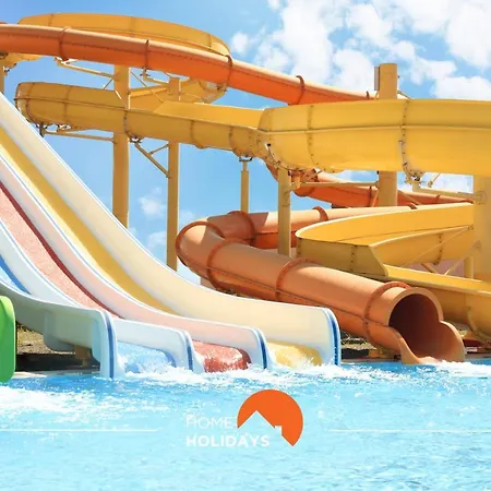 #144 Cavalo Preto C104 By Holidays *